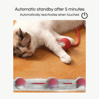 RagdollToys Rolling Cat Ball Toy with Tail