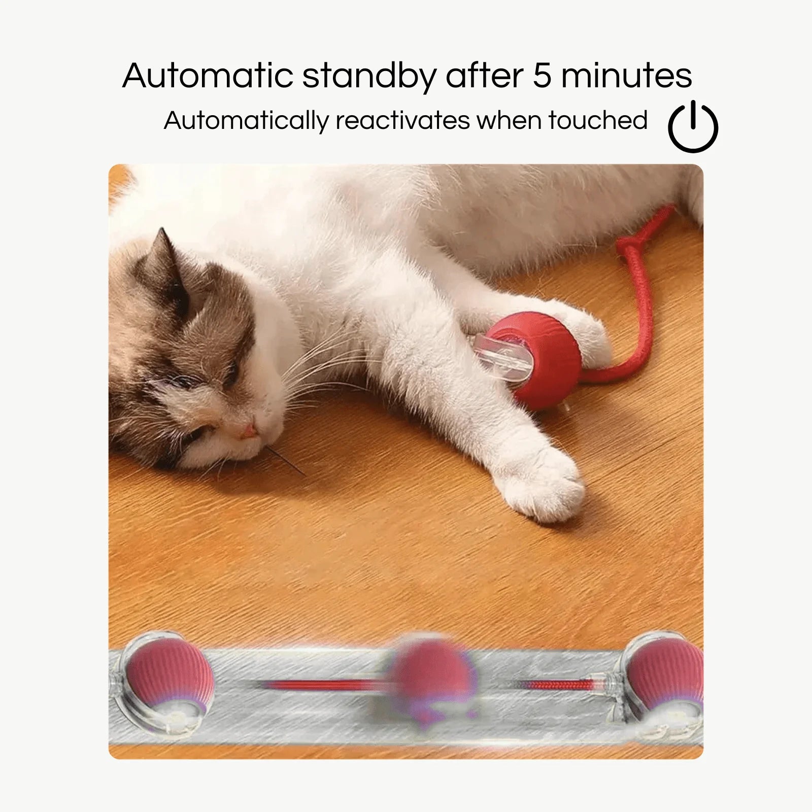 RagdollToys Rolling Cat Ball Toy with Tail