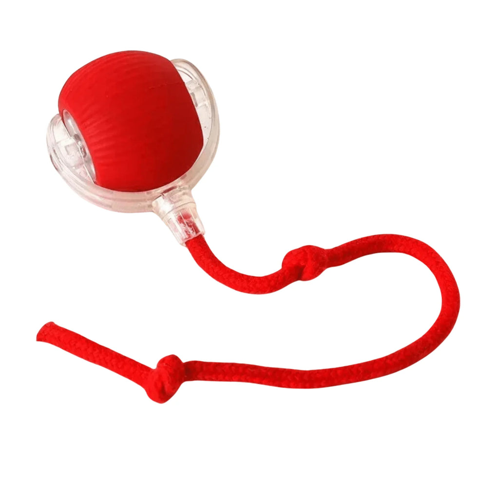 RagdollToys Rolling Cat Ball Toy with Tail