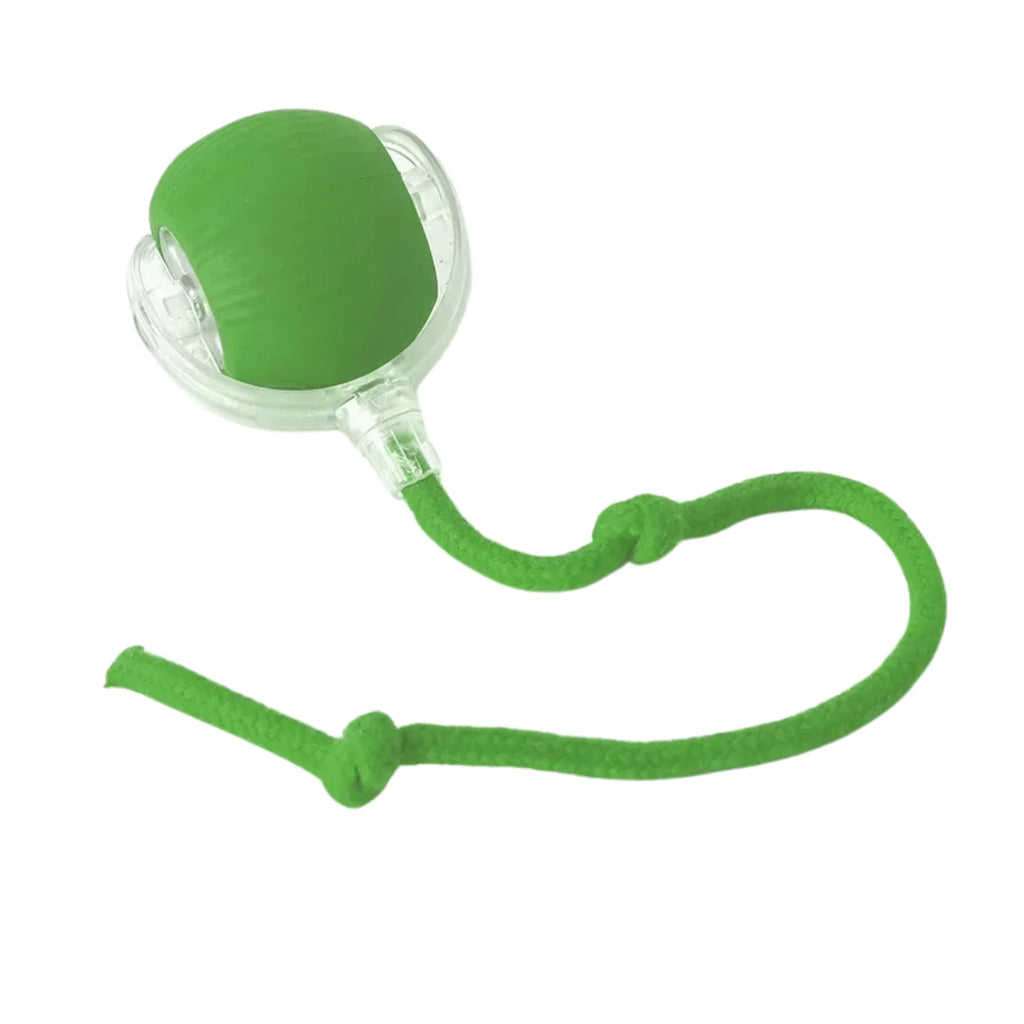 RagdollToys Rolling Cat Ball Toy with Tail