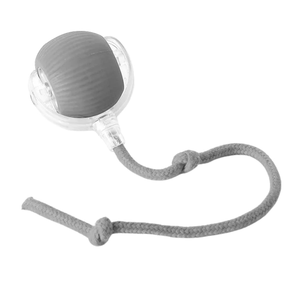 RagdollToys Rolling Cat Ball Toy with Tail